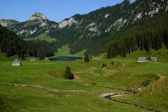 Der Bach auf der Sämtiseralp schlängelt sich zum vermeintlich höher gelegenen Sämtisersee. (Bild: Franz Häusler)