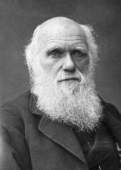 Charles Darwin, Naturwissenschafter:«Ich bewunderte früher Humboldt, jetzt bete ich ihn beinahe an; er allein gibt einen Begriff von den Empfindungen, welche in der Seele erregt werden beim ersten Betreten der Tropen.»