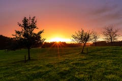 Fantastische Abendstimmung bei Arnegg mit wunderschönem Licht, etwas Regen und schönen sanften Farben. (Bild: Marc Bollhalder)