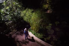 Museumsnacht im Botanischen Garten. (Bild: Benjamin Manser)