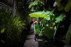 Museumsnacht im Botanischen Garten. (Bild: Benjamin Manser)