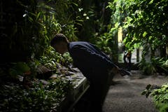 Museumsnacht im Botanischen Garten. (Bild: Benjamin Manser)